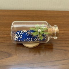 沖縄のお土産　星の砂　飾り物　置き物の画像