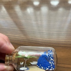 沖縄のお土産　星の砂　飾り物　置き物の画像