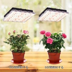 LED 植物育成ライト 室内温室栽培　吊り下げ　フルスペクトル　取付簡単の画像