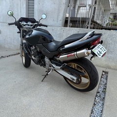 ホーネット250の画像