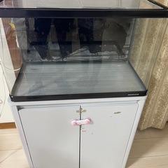 60センチ水槽セットの画像