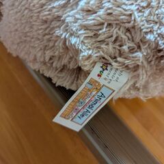 くま テディベア ぬいぐるみの画像