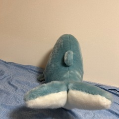 イルカのイルたんの画像