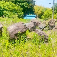 庭の大きな岩 お譲りしますの画像