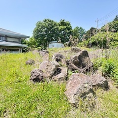 庭の大きな岩 お譲りしますの画像