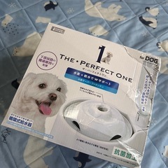 THE PERFECT ONEの画像