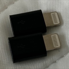 【ブラック】2点セット ライトニング タイプC 変換アダプターの画像