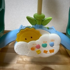 プーメリーの画像