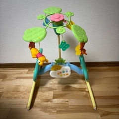 プーメリーの画像