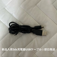 3DS 2DS DSi 任天堂 充電 ケーブル USB 充電器 1.2mの画像