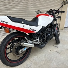 ヤマハRZ250Rバリバリチャンバー２スト29Lセパハン 前後タイヤ新品キャブO/H済 バッテリー新品 自賠責59ヶ月残 即乗ナナハンキラーの画像