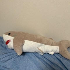 ガブっとサメの画像