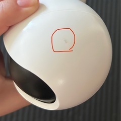 Tapo ペットカメラ2台の画像