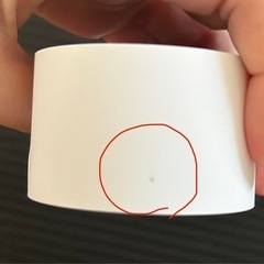 Tapo ペットカメラ2台の画像