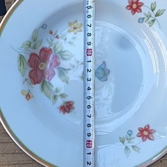 シルビア九号カレースプーン付5枚の画像