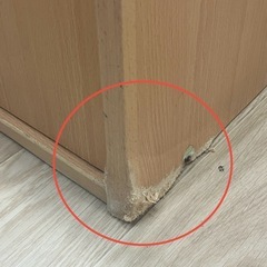 stp-3308 収納ラック　扉付き　棚板高さ調節可能　カラーボックス　ナチュラル　収納ボックス　収納ケース　本棚　チェスト　収納　ラック　シェルフ　茶　の画像