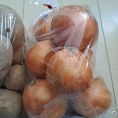 本日受け渡しのみきゅうり付き！野菜セットの画像