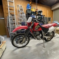 XR250の画像