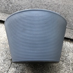 睡蓮鉢　石　水草　温度計　えさ　セット
の画像