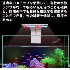 【商談成立】水槽セット30cm(成魚３匹も希望ならお譲りできます)の画像