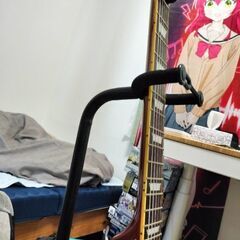GrassRootsエレキギターの画像