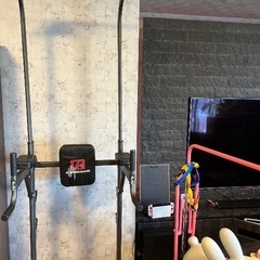 ぶら下がり健康器具の画像