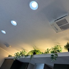 決定🌟フェイク植物8個セットの画像