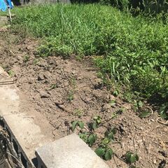 残土（畑土）　０円　無料の画像