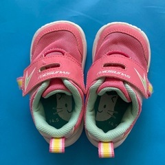 シュンソク14.5cmの画像