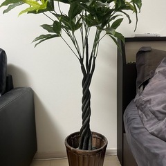 家具・家電セットの画像