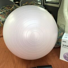 【ヨガボール】55㎝ NITORI ニトリ アンチバースト仕様 空気入れ付 150～170㎝ バランスボール 運動 ストレッチ 筋トレの画像