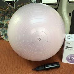 【ヨガボール】55㎝ NITORI ニトリ アンチバースト仕様 空気入れ付 150～170㎝ バランスボール 運動 ストレッチ 筋トレの画像