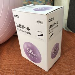 【ヨガボール】55㎝ NITORI ニトリ アンチバースト仕様 空気入れ付 150～170㎝ バランスボール 運動 ストレッチ 筋トレの画像