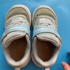 シュンソク15.0cmの画像