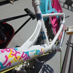 子供　自転車　OGK JB-008Xの画像