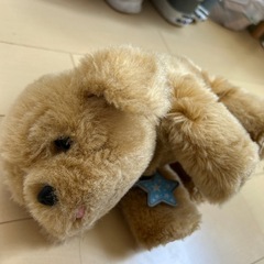 ペット お医者さんセット お世話セット おもちゃの画像
