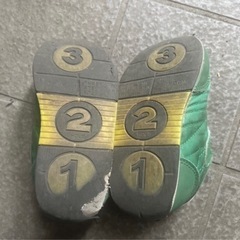 16センチ　今月処分の画像
