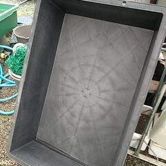 めだか容器など一旦終了しますの画像