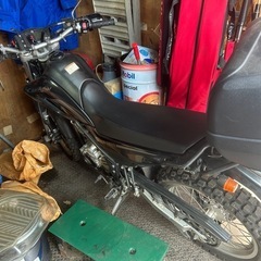 YAMAHA　セロー250 の画像