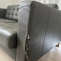 IKEA ランズクローナ2人掛けソファ
の画像
