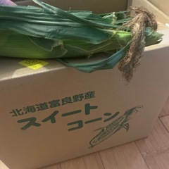 小動物のおやつ★乾燥,とうもろこしの皮 30g〜の画像