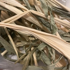 小動物のおやつ★乾燥,とうもろこしの皮 30g〜の画像