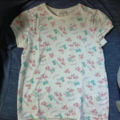 キッズTシャツ　140 　2枚セットの画像