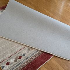 ラグ 吸湿発熱ラグ Nウォーム リビング カーペット マットの画像
