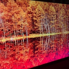 ハイセンス 55V型 4Kチューナー内蔵 液晶テレビ 55U7E 訳あり①の画像