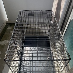 犬小屋
の画像