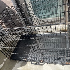 犬小屋
の画像