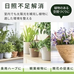 植物育成ライト クリップ式の画像