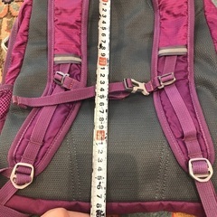 Coleman  ジュニアリュック  パープルの画像