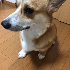 急募急ぎです！